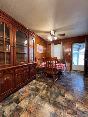 33 Sand Mountain Drive, Rainsville, AL 35986