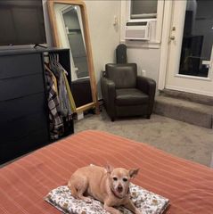 34 Telegraph St. 3, Boston, MA 02127