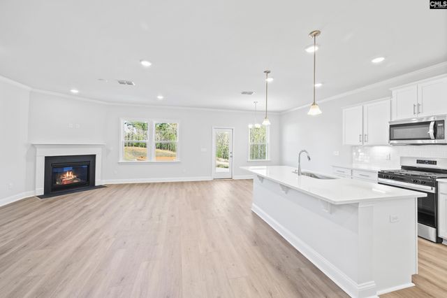 341 Mont Haven Place, Lexington, SC 29072