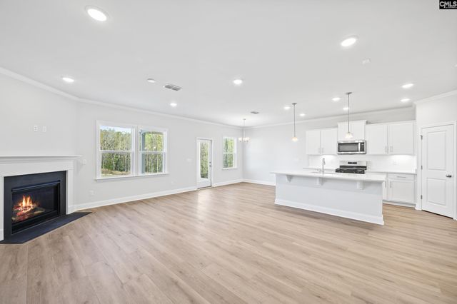 341 Mont Haven Place, Lexington, SC 29072