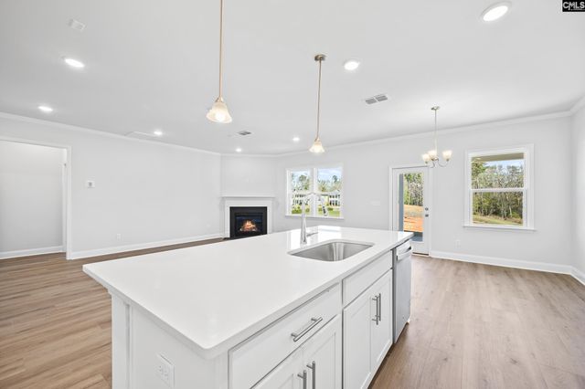341 Mont Haven Place, Lexington, SC 29072
