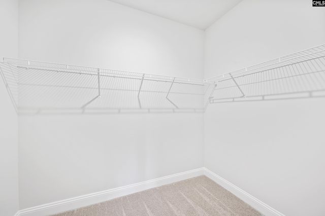 341 Mont Haven Place, Lexington, SC 29072