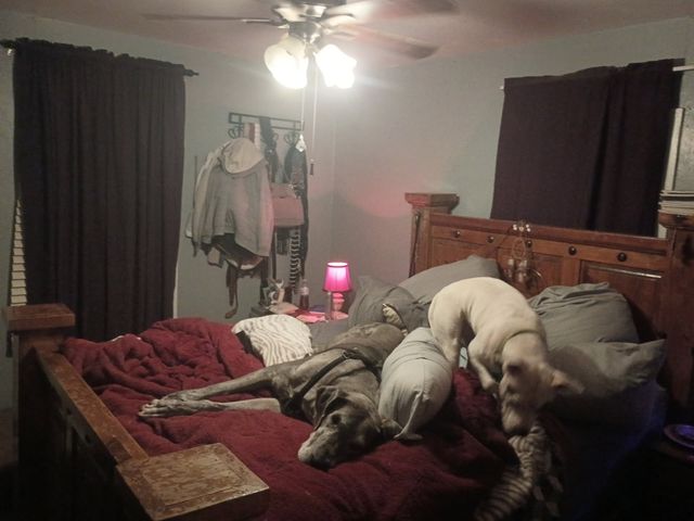 9504 Pittsburg Street, Cresson, TX 76035