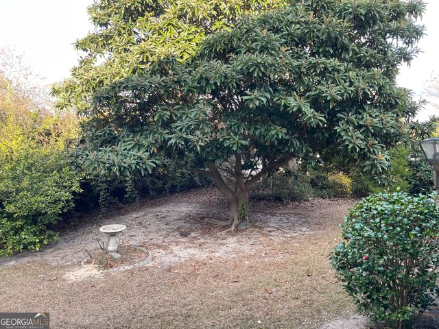 137 Blue Ridge Drive, Statesboro, GA 30458