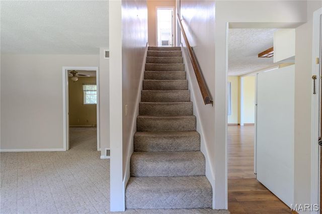 803 Lovers Lane, Rolla, MO 65401