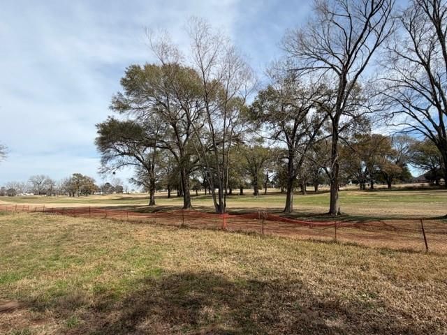 220 Birdie Dr Hempstead, Hempstead, TX 77445