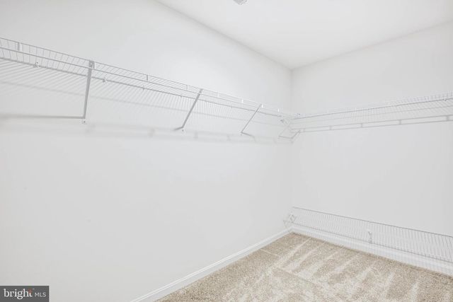 12423 JOSEPHINE LN, Fredericksburg, VA 22407