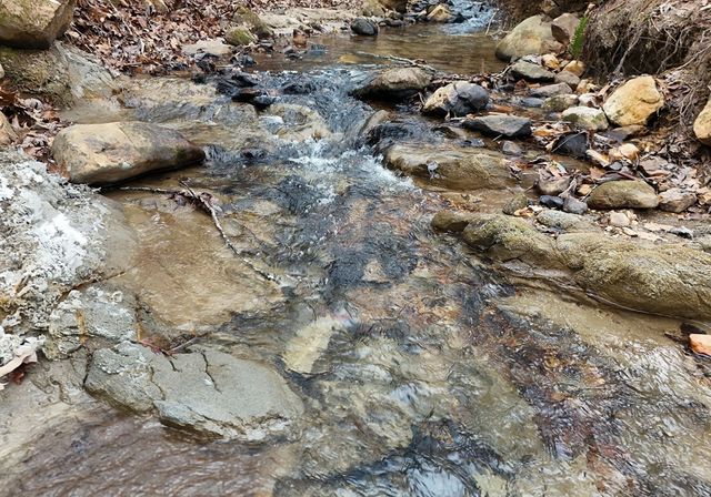 266 Mabry Lane, Morganton, GA 30560