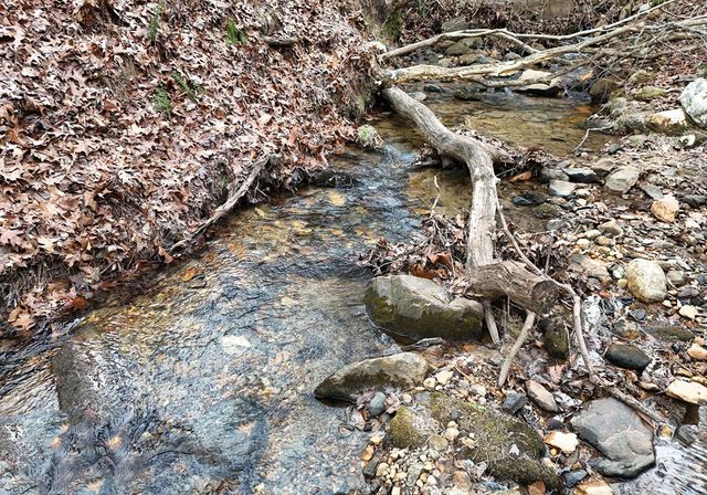 266 Mabry Lane, Morganton, GA 30560