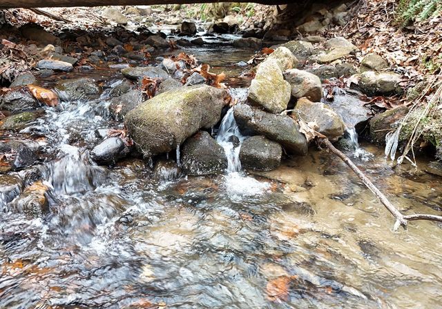 266 Mabry Lane, Morganton, GA 30560