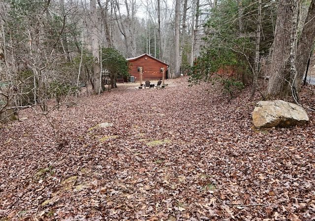 266 Mabry Lane, Morganton, GA 30560