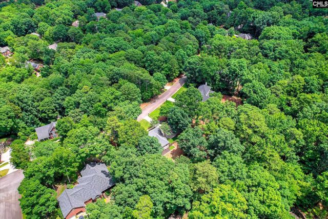 208 Misty Oaks Court, Lexington, SC 29072