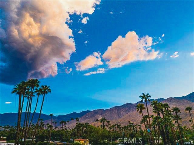 1190 S Calle Marcus, Palm Springs, CA 92264