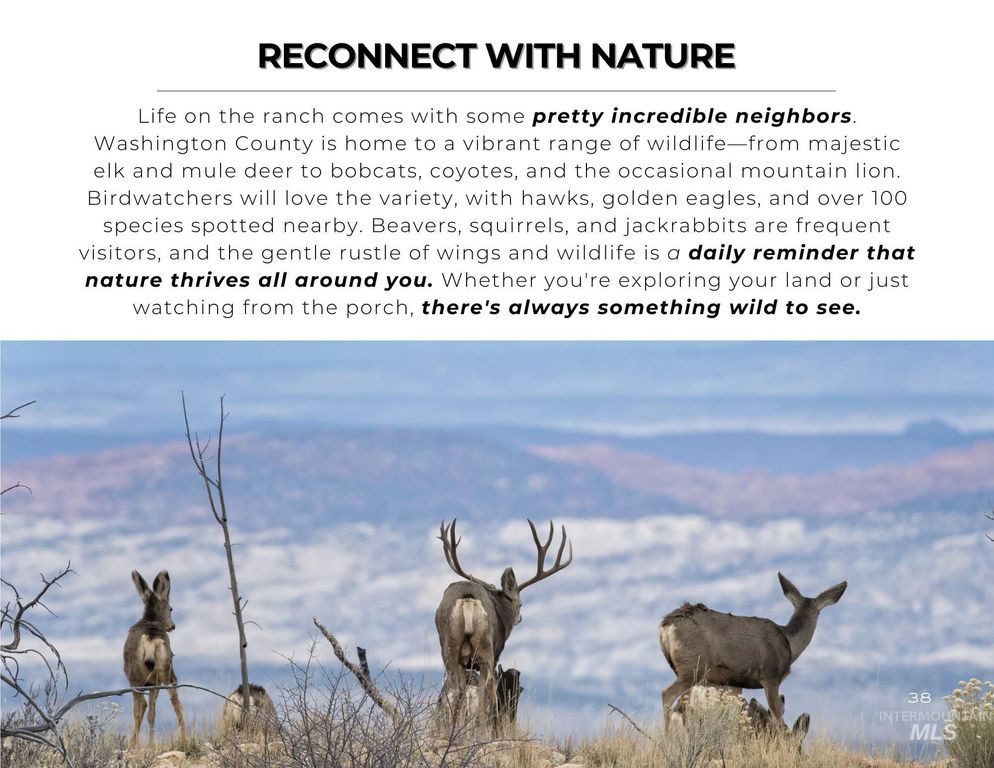 TBD Bonner Road, Midvale, ID 83645 photo 34