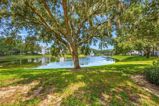 3311 HAVILAND COURT 204, Palm Harbor, FL 34684