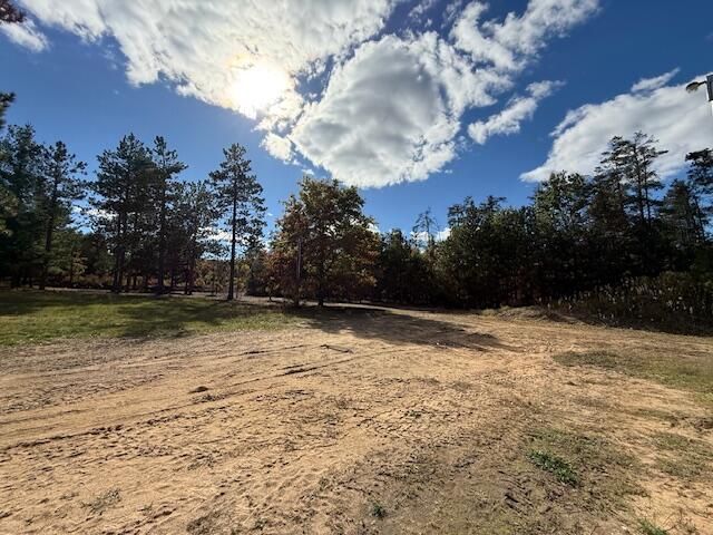 2466 Sunset Strip, Grayling, MI 49738