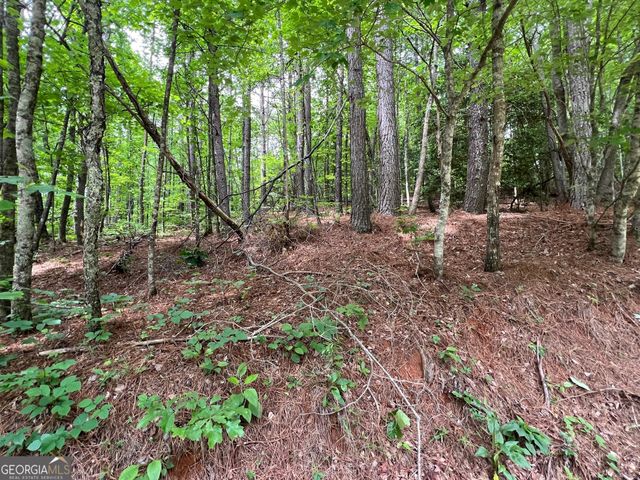 0 Mr Bert Road, Hiawassee, GA 30546