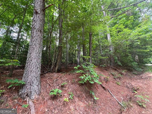 0 Mr Bert Road, Hiawassee, GA 30546