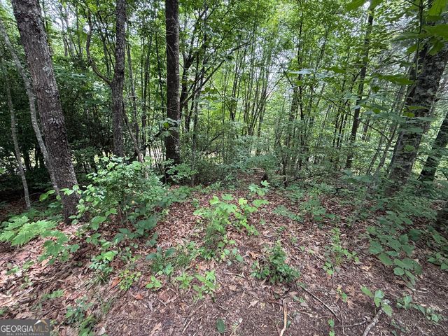 0 Mr Bert Road, Hiawassee, GA 30546