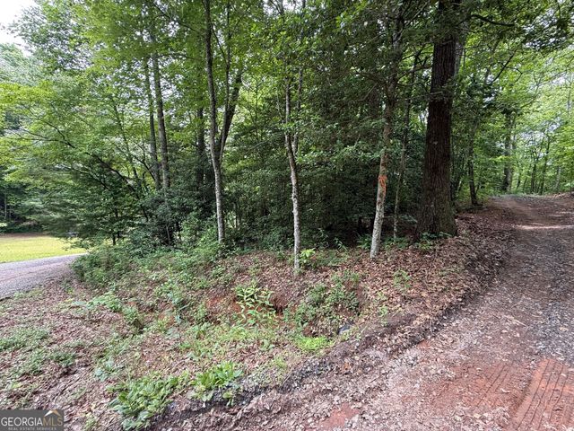 0 Mr Bert Road, Hiawassee, GA 30546