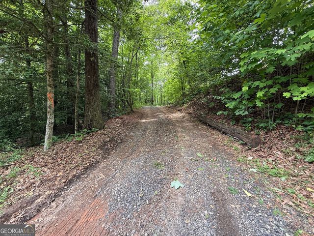 0 Mr Bert Road, Hiawassee, GA 30546