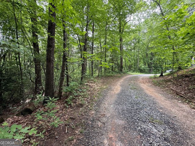 0 Mr Bert Road, Hiawassee, GA 30546
