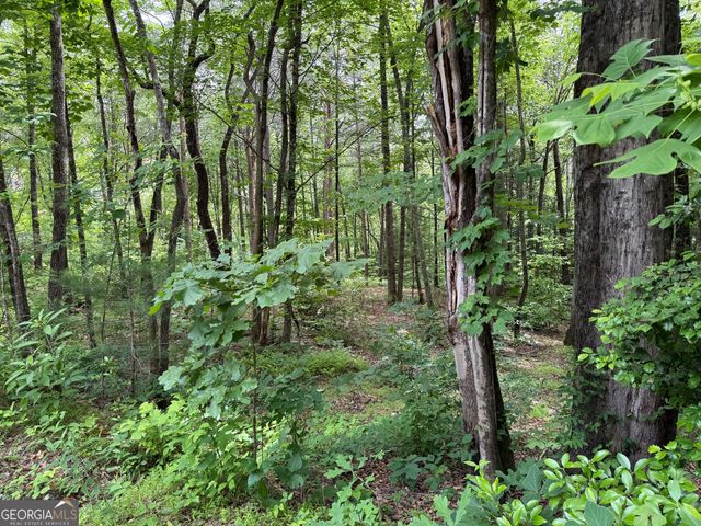 0 Mr Bert Road, Hiawassee, GA 30546
