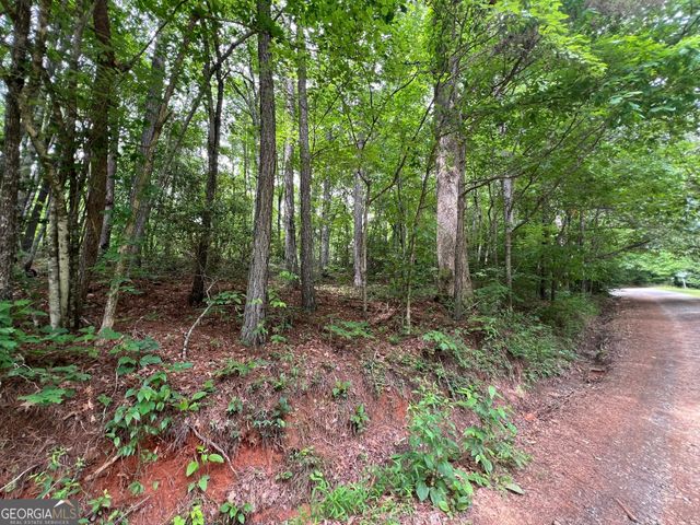 0 Mr Bert Road, Hiawassee, GA 30546