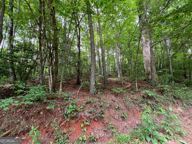 0 Mr Bert Road, Hiawassee, GA 30546