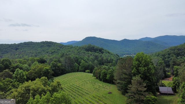 0 Mr Bert Road, Hiawassee, GA 30546