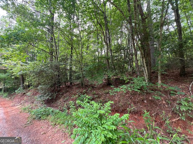 0 Mr Bert Road, Hiawassee, GA 30546