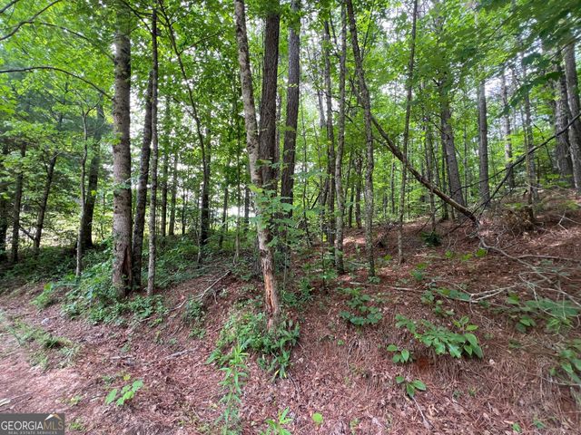 0 Mr Bert Road, Hiawassee, GA 30546