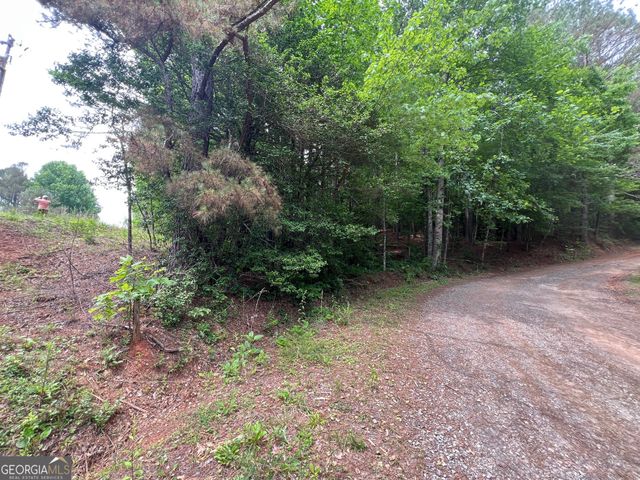 0 Mr Bert Road, Hiawassee, GA 30546