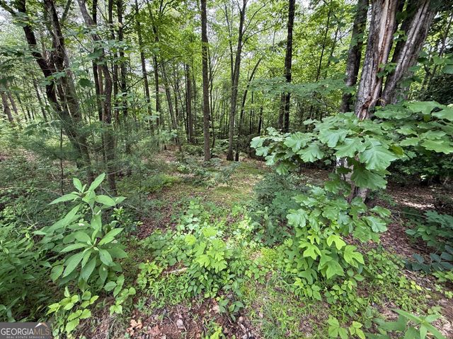 0 Mr Bert Road, Hiawassee, GA 30546