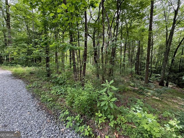 0 Mr Bert Road, Hiawassee, GA 30546