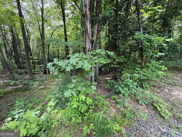 0 Mr Bert Road, Hiawassee, GA 30546