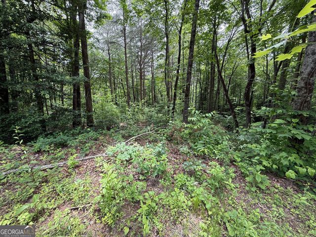 0 Mr Bert Road, Hiawassee, GA 30546