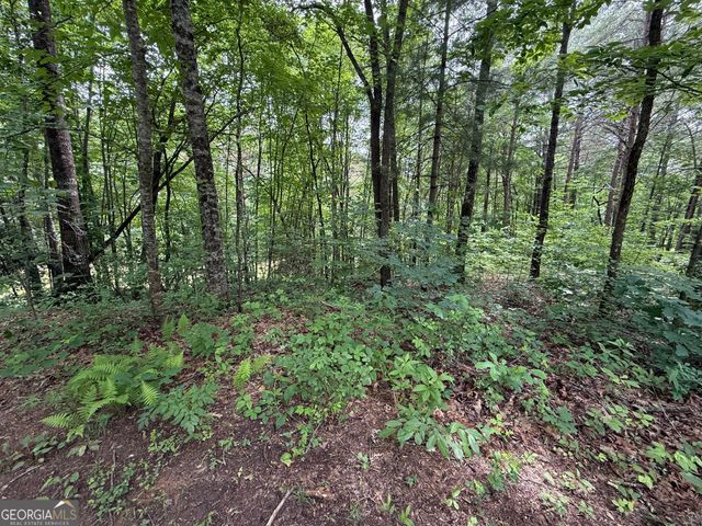 0 Mr Bert Road, Hiawassee, GA 30546