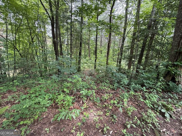 0 Mr Bert Road, Hiawassee, GA 30546