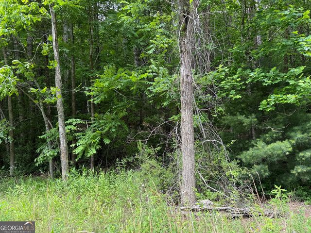 0 Mr Bert Road, Hiawassee, GA 30546