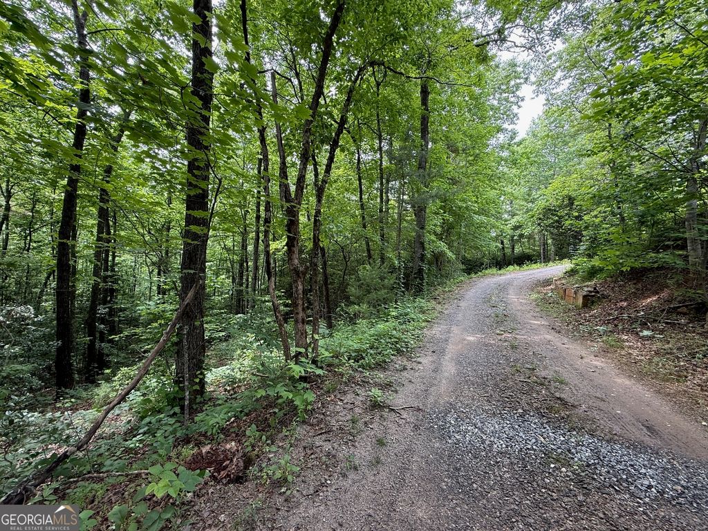 0 Mr Bert Road, Hiawassee, GA 30546