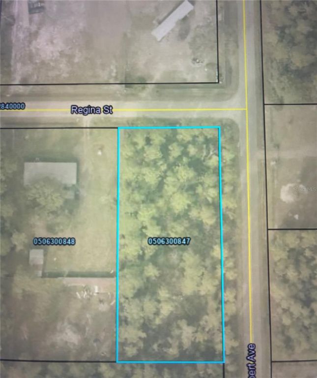 Image 1 of property listing at 4205 REGINA STREET, Hastings, FL 32145