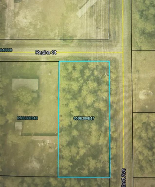 Image 2 of property listing at 4205 REGINA STREET, Hastings, FL 32145