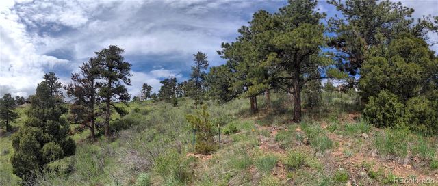 25421 Westridge Road, Golden, CO 80403