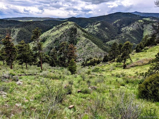25421 Westridge Road, Golden, CO 80403