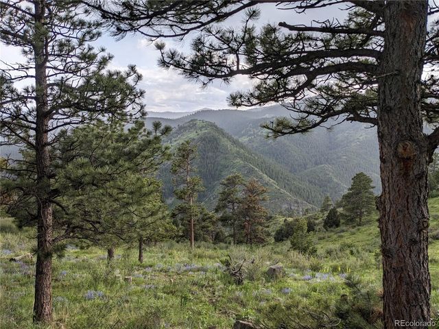 25421 Westridge Road, Golden, CO 80403