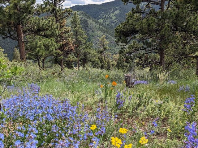25421 Westridge Road, Golden, CO 80403