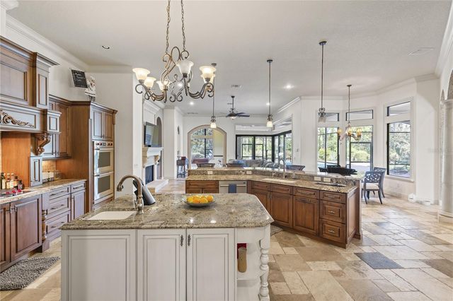 17034 MEDICI WAY, Montverde, FL 34756