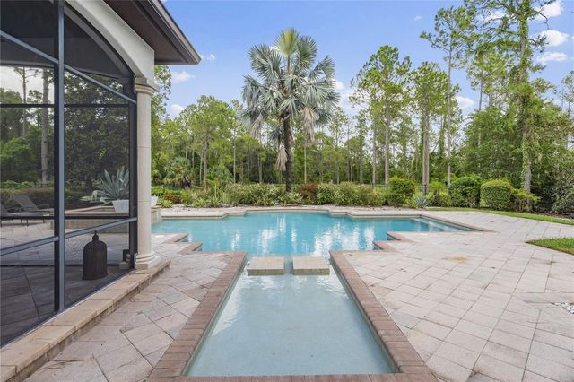 17034 MEDICI WAY, Montverde, FL 34756