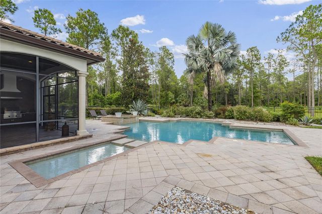 17034 MEDICI WAY, Montverde, FL 34756